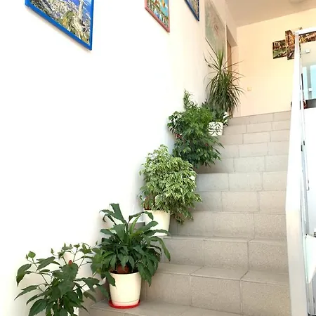 Apartment Apartment